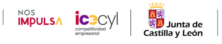 Proyectos de expansión internacional de las pymes de Castilla y León