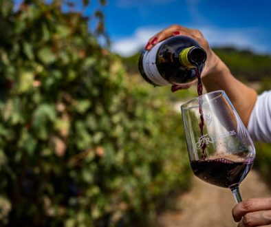 087 Vendimia Bodega Vega de Yuso 2024_baja